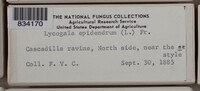 Image Associated With the Occurence